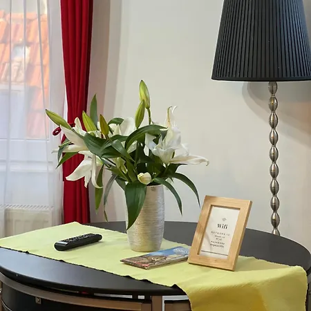 Rooftop 公寓 布拉索夫