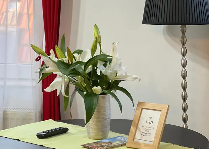 Rooftop Apartment Brasov